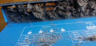 Rogues Gallery - Lint Build Up in Equipment Rogues Gallery - Lint Build Up in Equipment